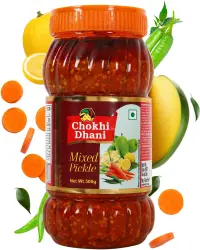 Chokhi Dhani
