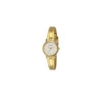 Sonata Quartz Analog Champagne Dial Gold Stainless Steel Strap Watch for Women - NT8096YM05